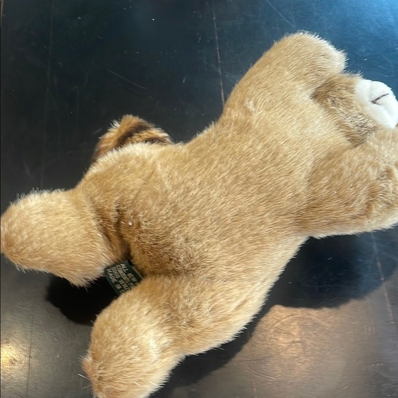 Brown Plush Raccoon beanbag like new - Picture 4 of 5